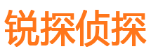 兴城侦探公司